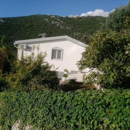 Blue Horizon Apartment Dobra Voda Exterior foto
