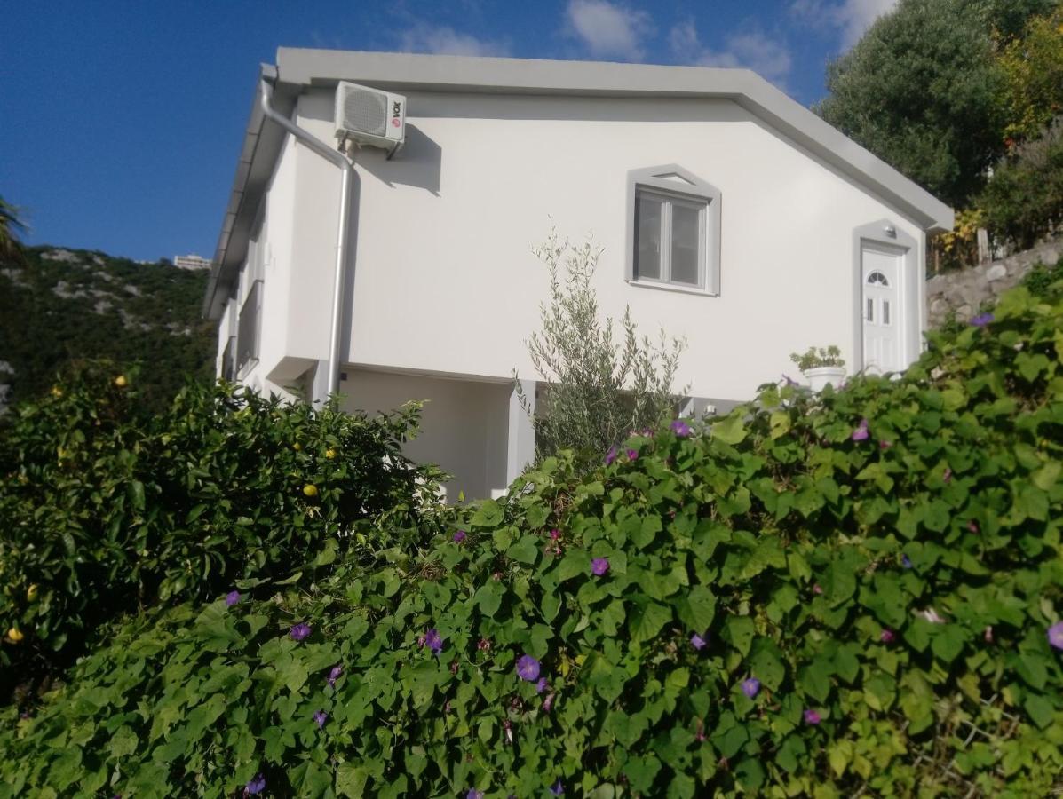 Blue Horizon Apartment Dobra Voda Exterior foto