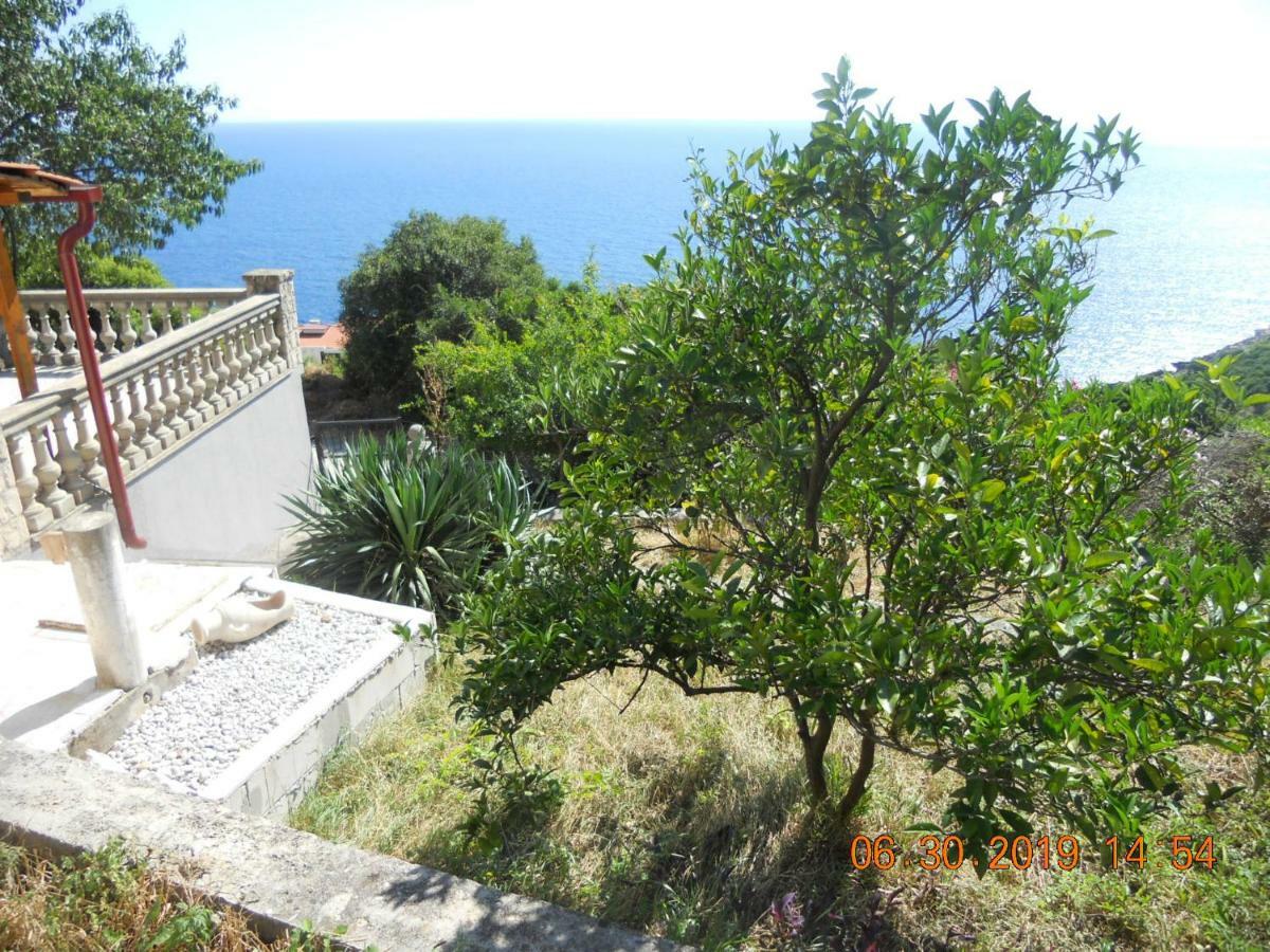 Blue Horizon Apartment Dobra Voda Exterior foto